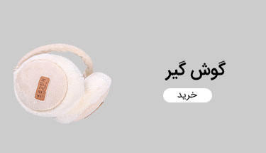 گوشگیر