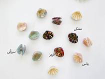 مینی کلیپس صدفی