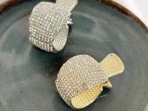 کلیپس دم اسبی ماهی نگینی