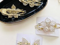 گیره انبری نگین باگتی زایا