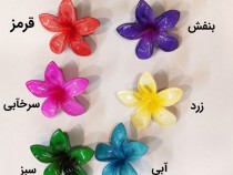 گیره انبری پلومریا