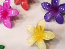 گیره انبری پلومریا