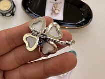 گل سینه برگ گل صدفی