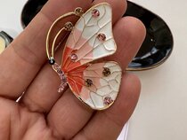گل سینه پروانه گلبهی
