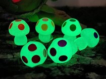 قارچ شبتاب(شبنما) دکوری کادویی